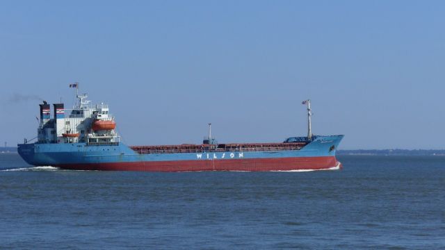 Wilson Ross - Estuaire Loire - 30 juin 2010 (03).JPG